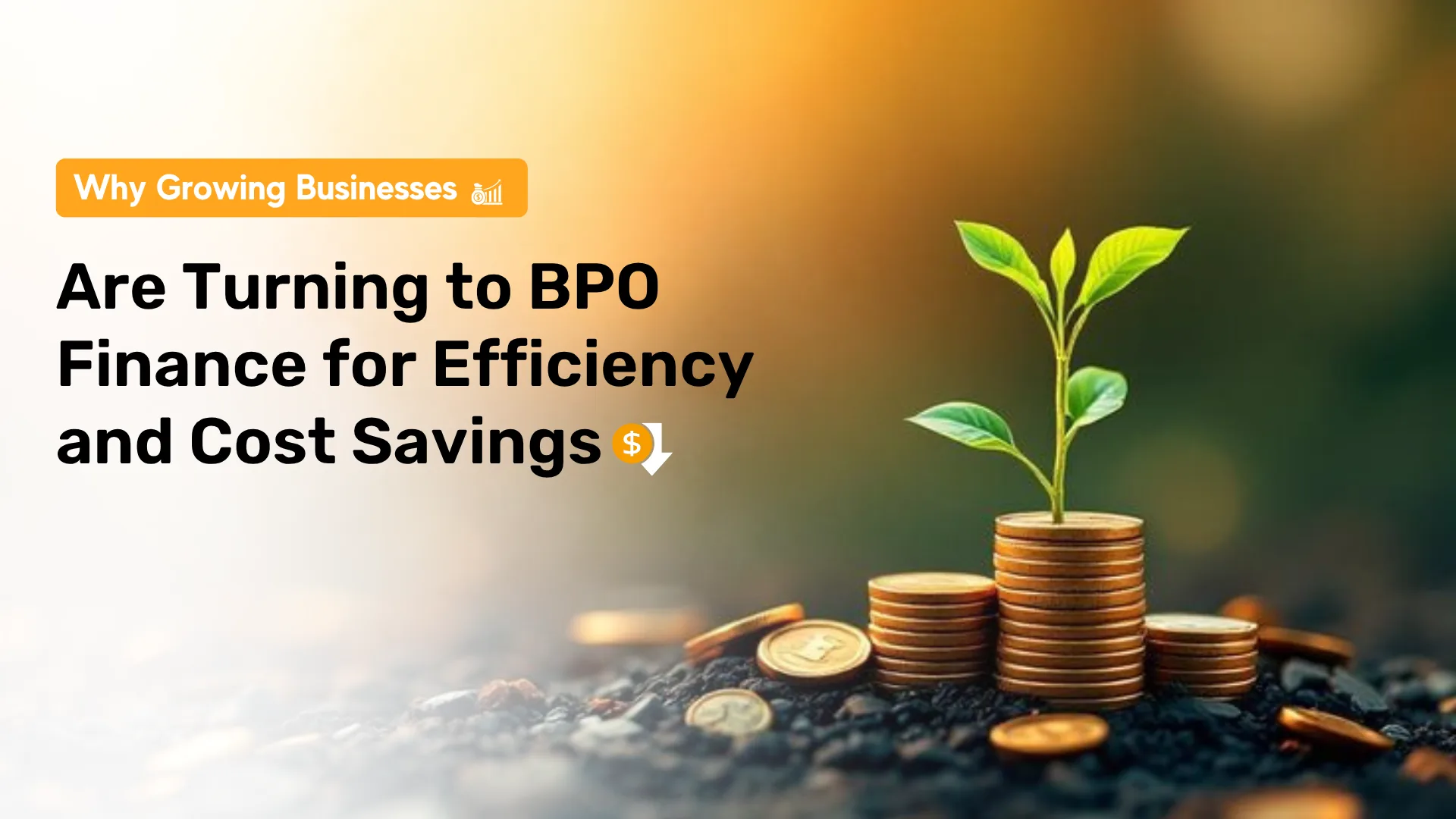 Why Growing Businesses Are Turning to BPO Finance for Efficiency and Cost Savings